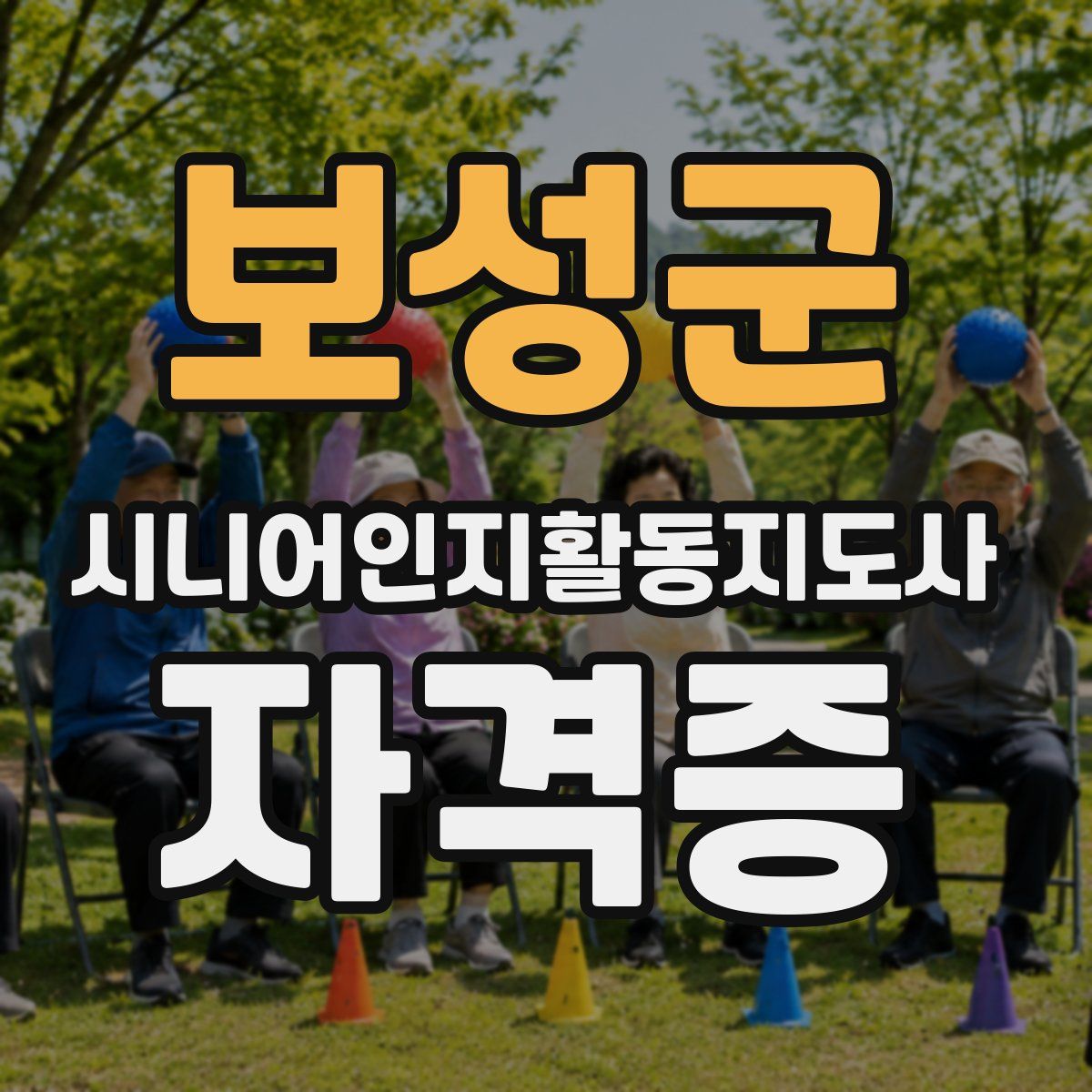 보성군 시니어인지활동지도사 자격증