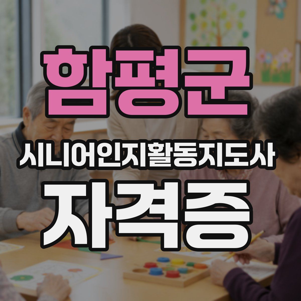 함평군 시니어인지활동지도사 자격증