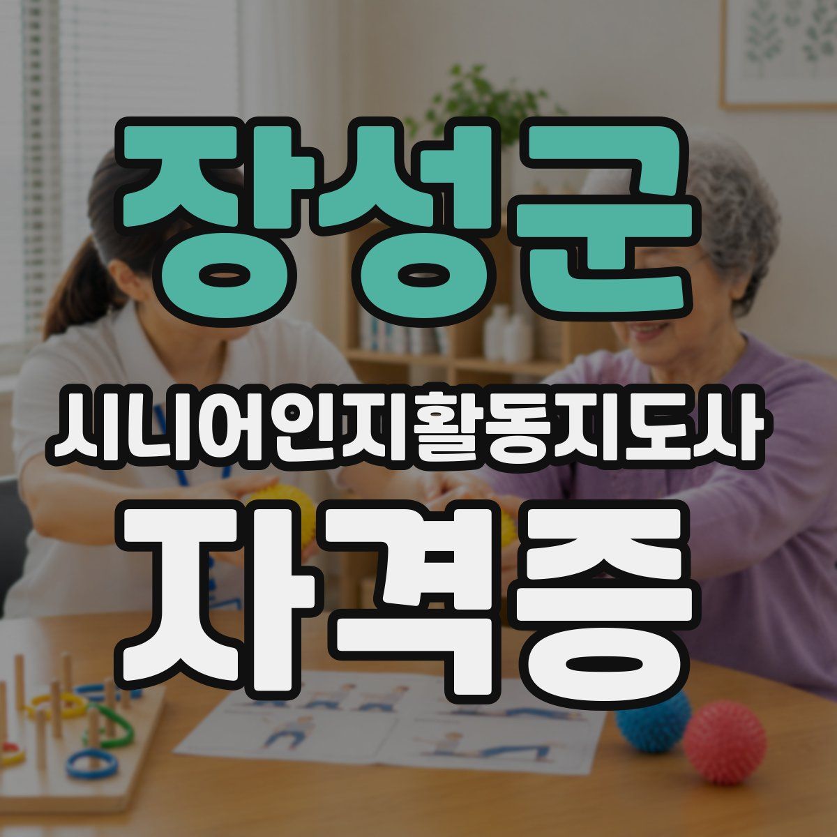 장성군 시니어인지활동지도사 자격증
