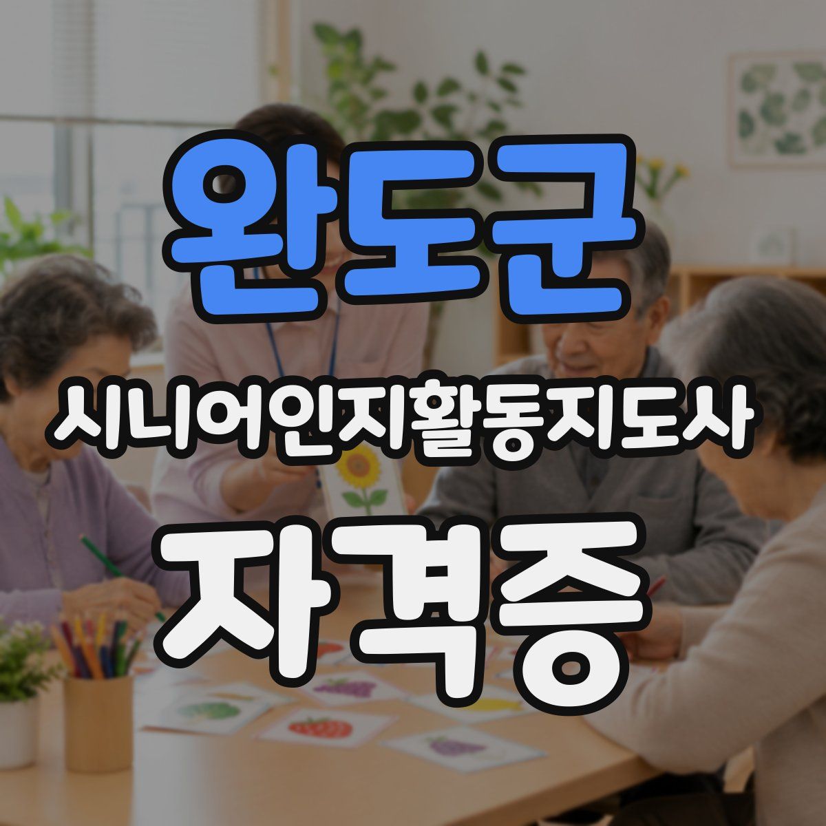 완도군 시니어인지활동지도사 자격증
