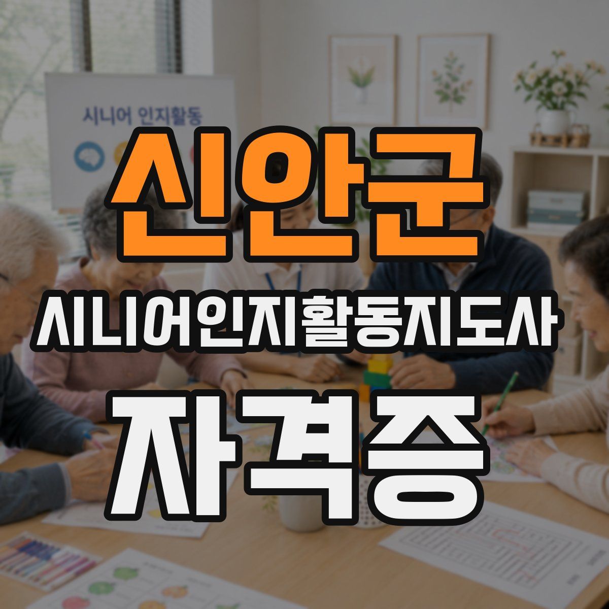 신안군 시니어인지활동지도사 자격증