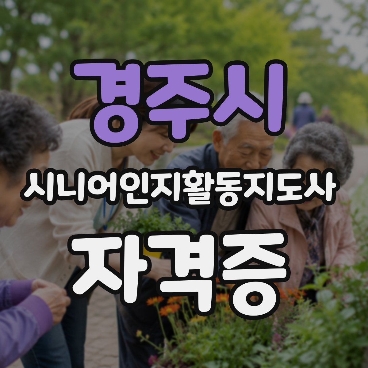 경주시 시니어인지활동지도사 자격증