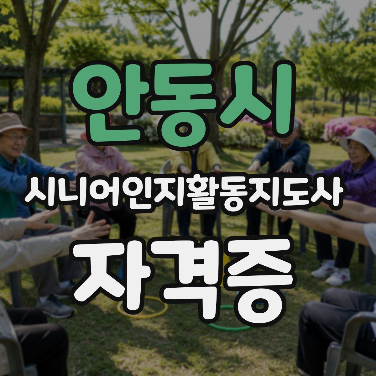 안동시 시니어인지활동지도사 자격증