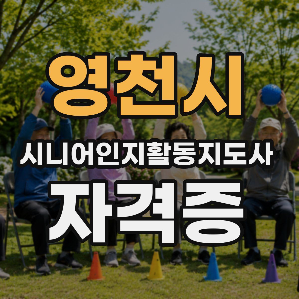 영천시 시니어인지활동지도사 자격증