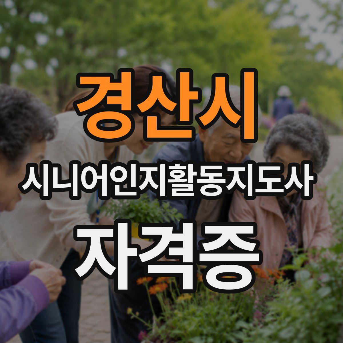 경산시 시니어인지활동지도사 자격증