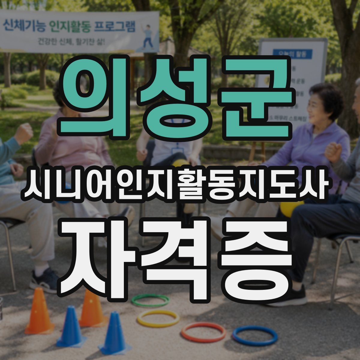 의성군 시니어인지활동지도사 자격증