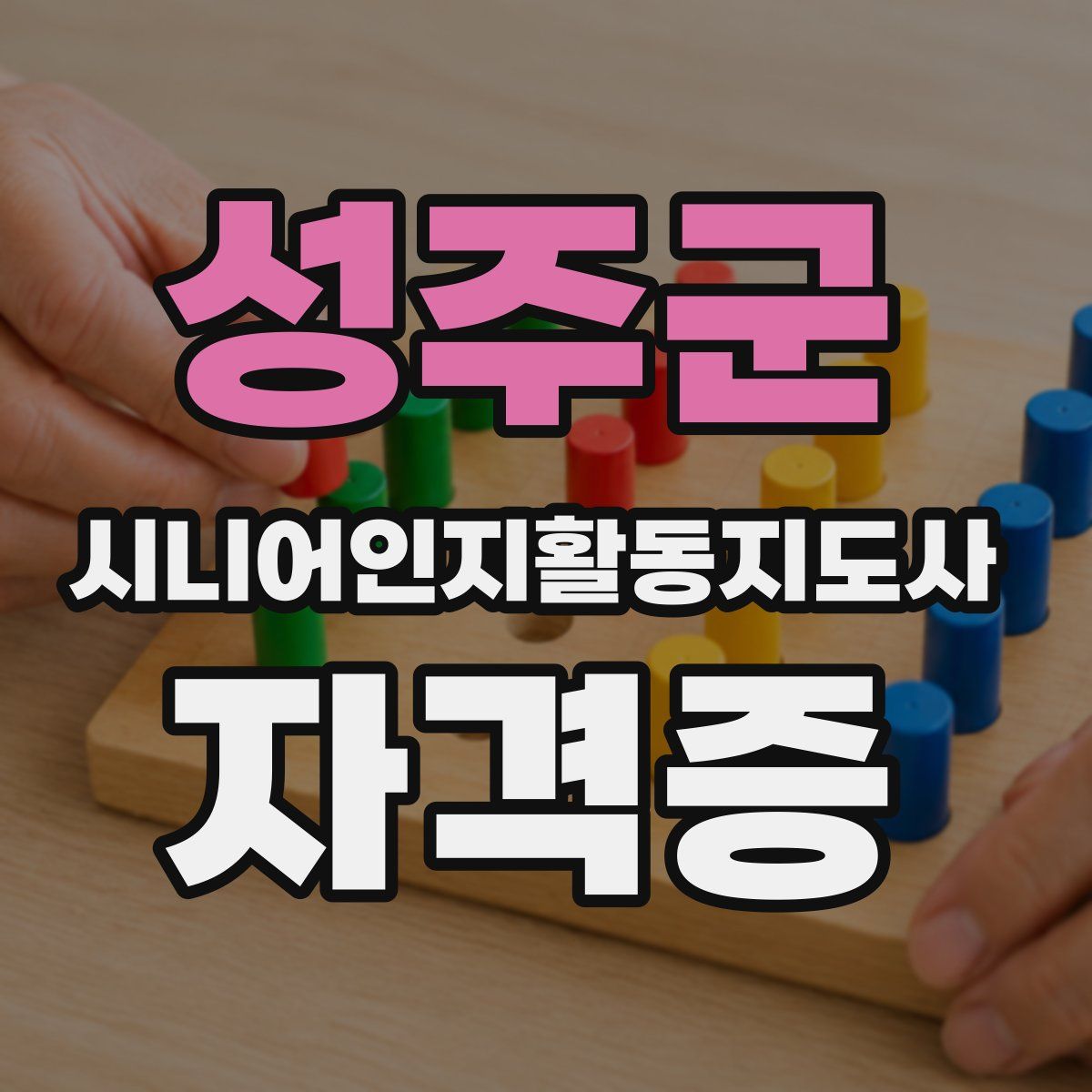 성주군 시니어인지활동지도사 자격증