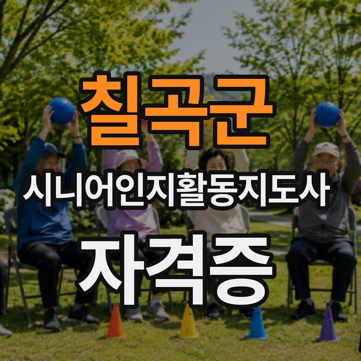 칠곡군 시니어인지활동지도사 자격증