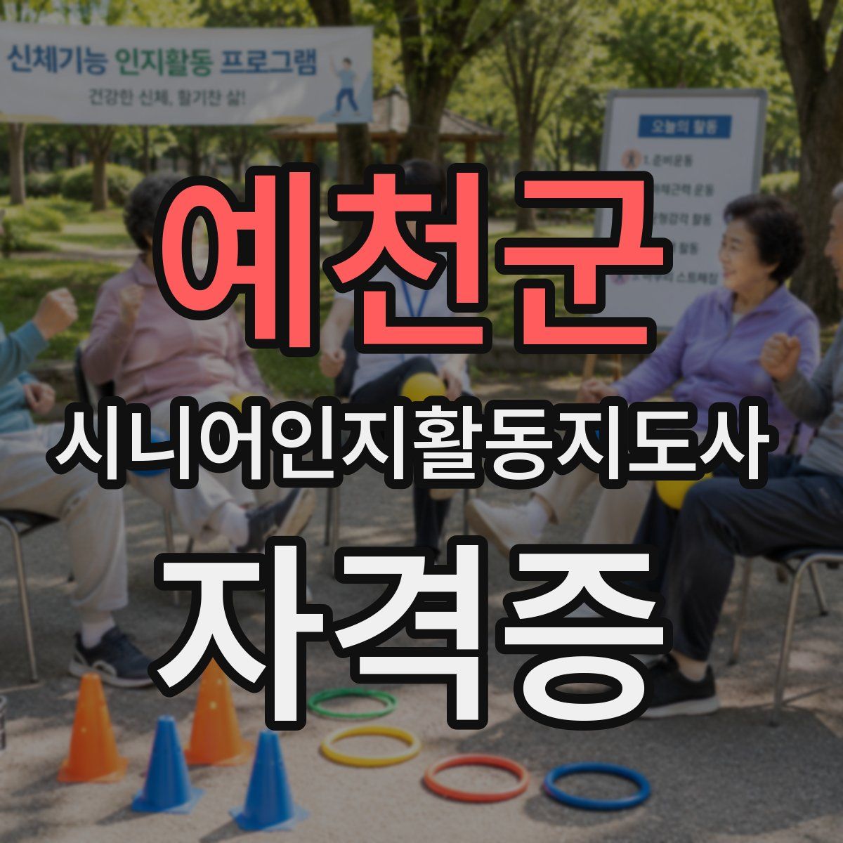 예천군 시니어인지활동지도사 자격증
