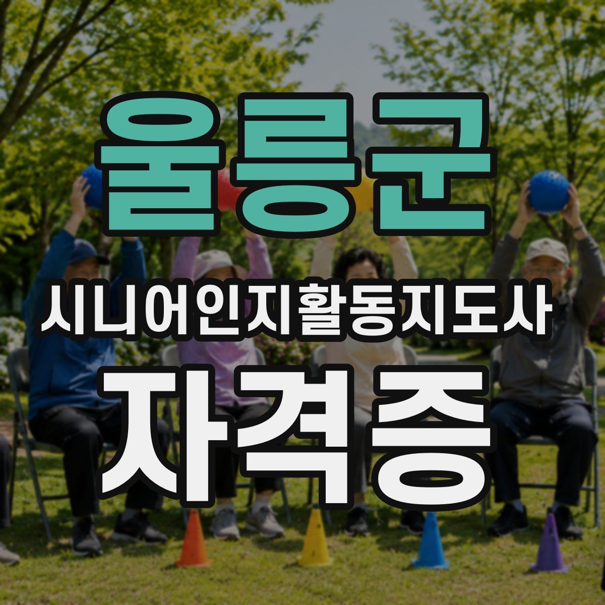 울릉군 시니어인지활동지도사 자격증