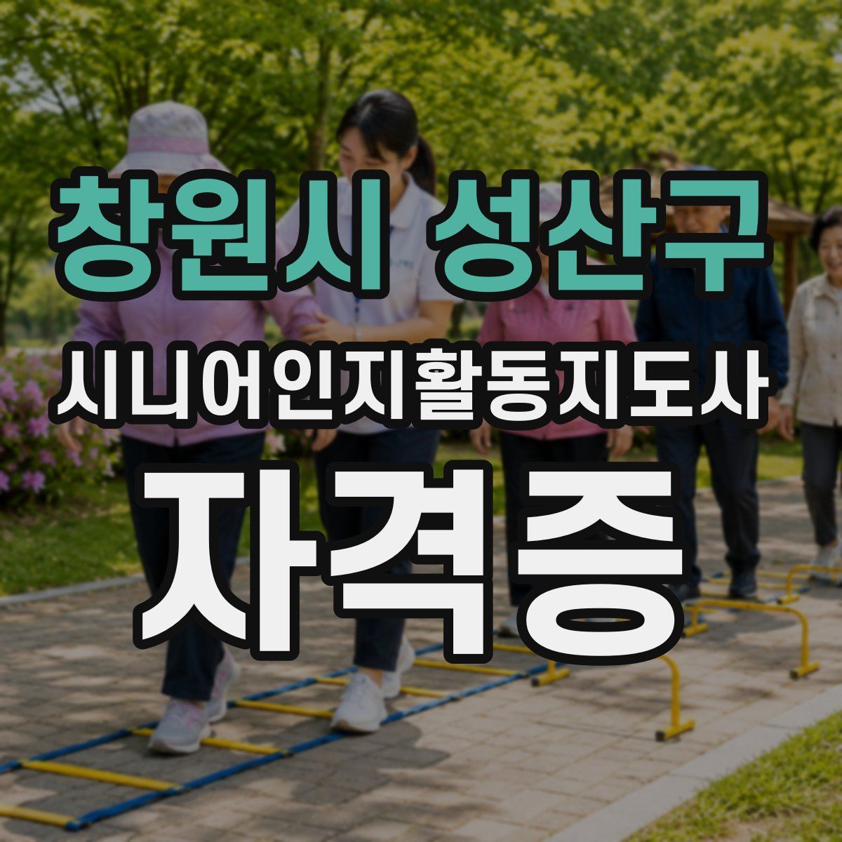 창원시 성산구 시니어인지활동지도사 자격증