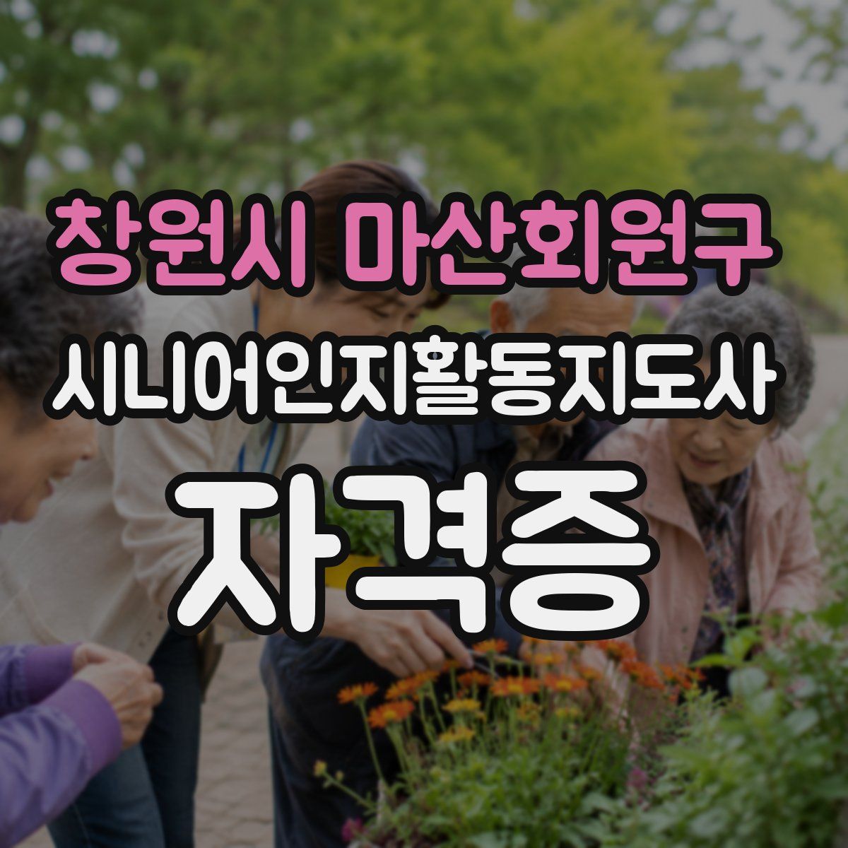 창원시 마산회원구 시니어인지활동지도사 자격증