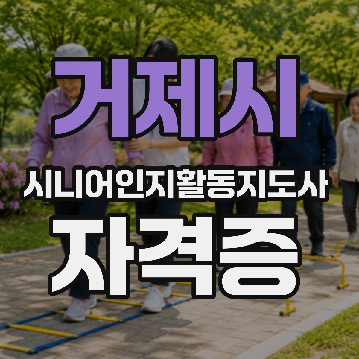 거제시 시니어인지활동지도사 자격증
