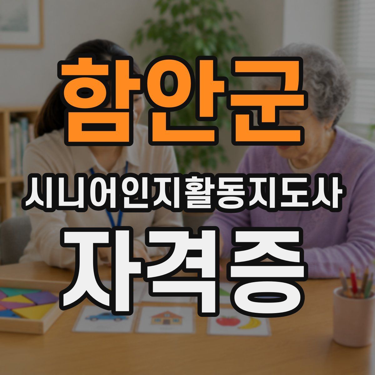 함안군 시니어인지활동지도사 자격증