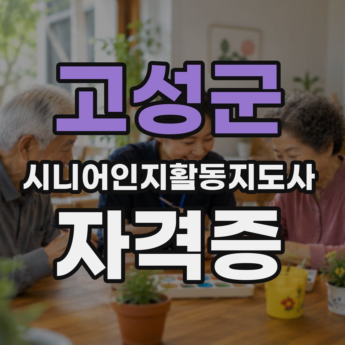 고성군 시니어인지활동지도사 자격증