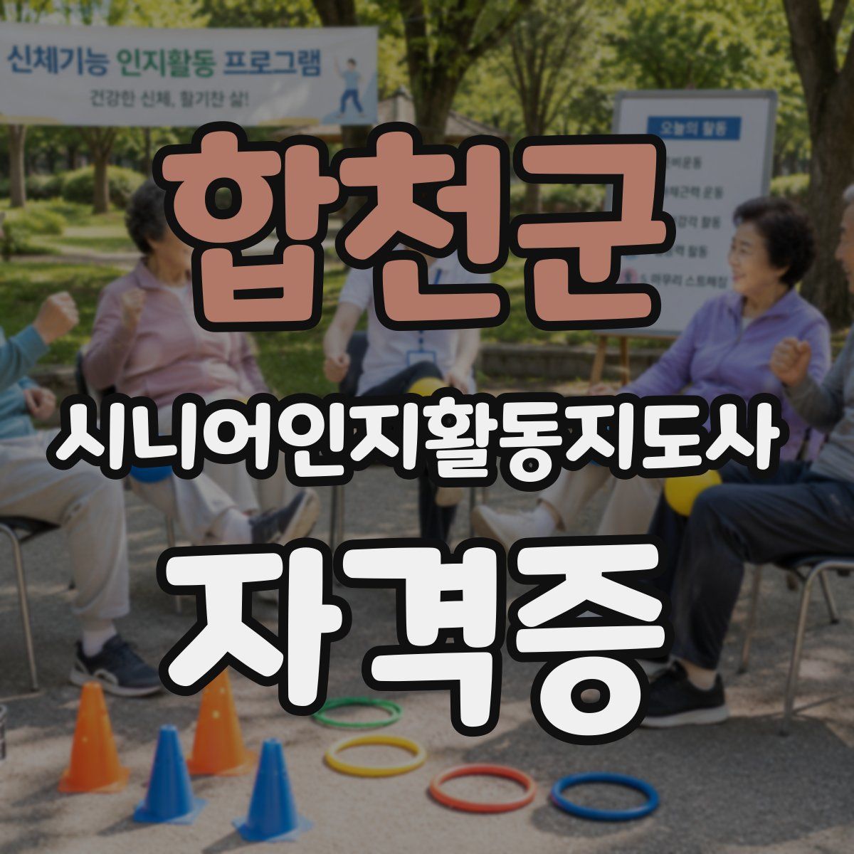 합천군 시니어인지활동지도사 자격증