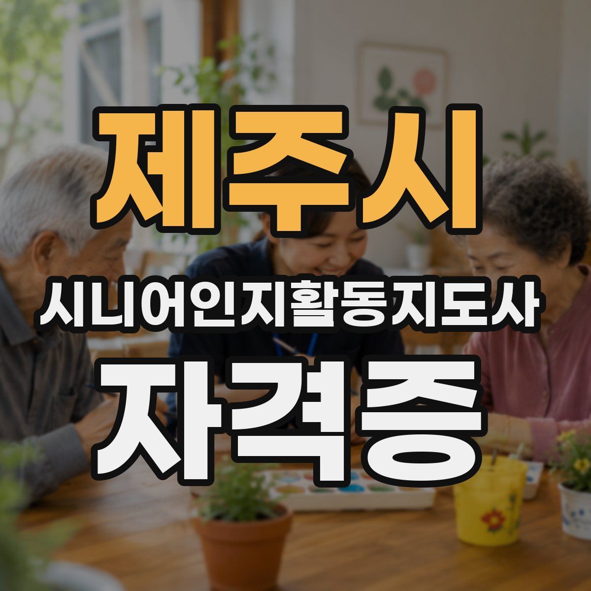 제주시 시니어인지활동지도사 자격증