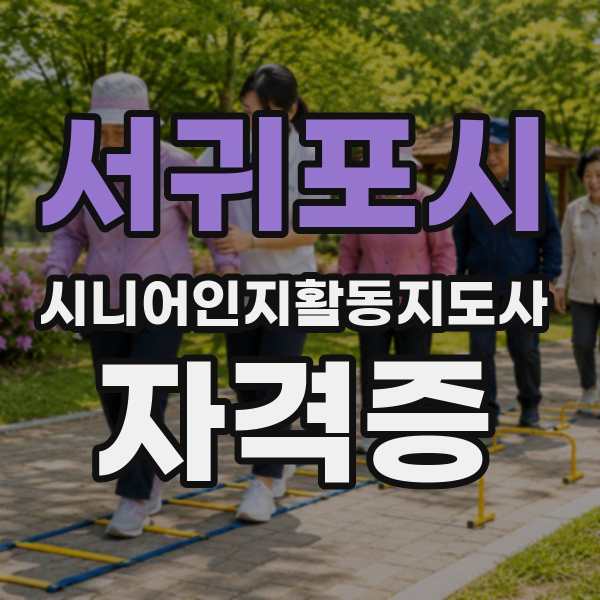 서귀포시 시니어인지활동지도사 자격증