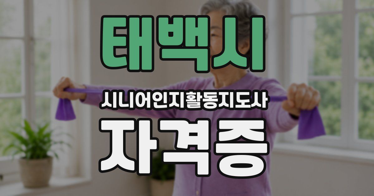 태백시 시니어인지활동지도사 자격증