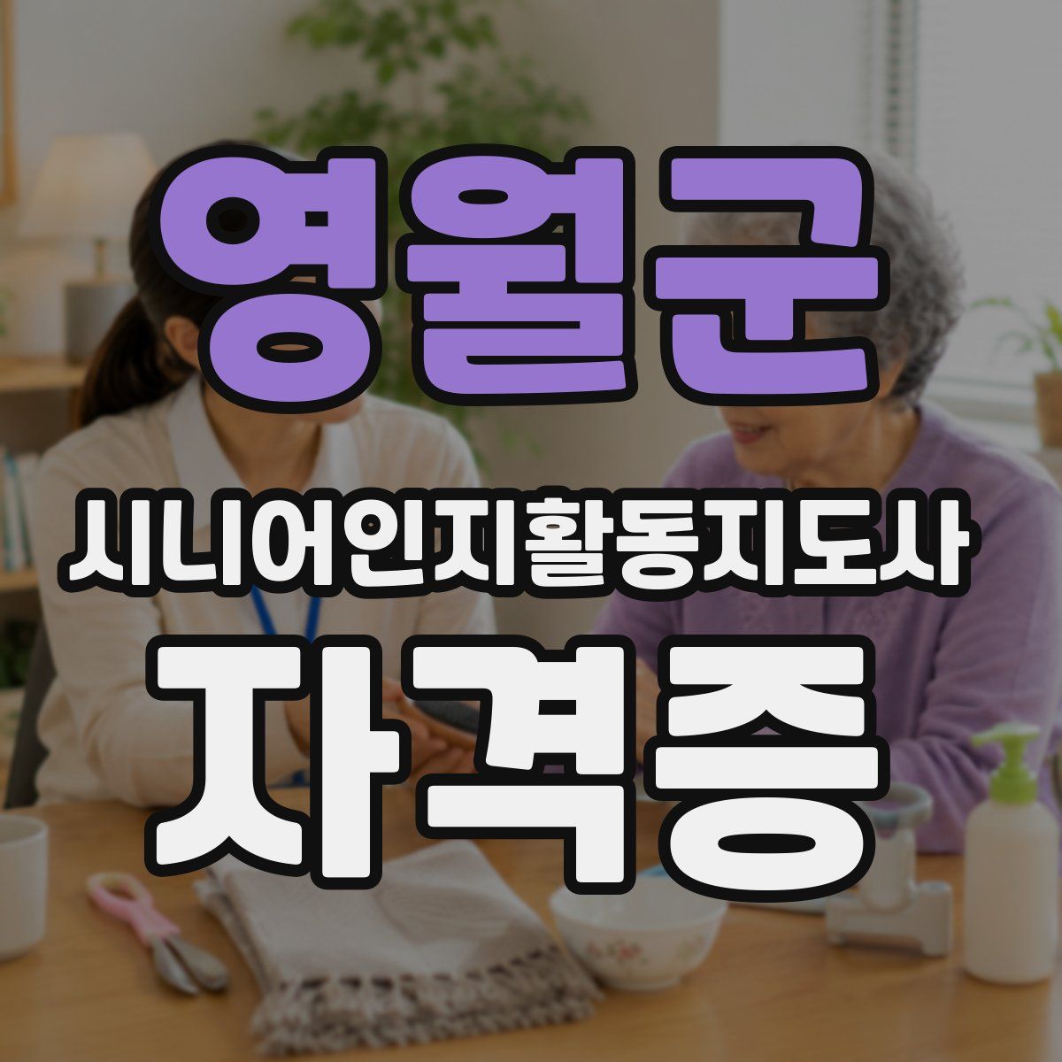 영월군 시니어인지활동지도사 자격증