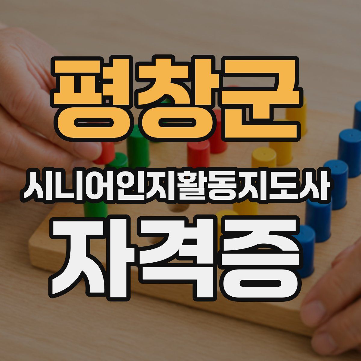 평창군 시니어인지활동지도사 자격증