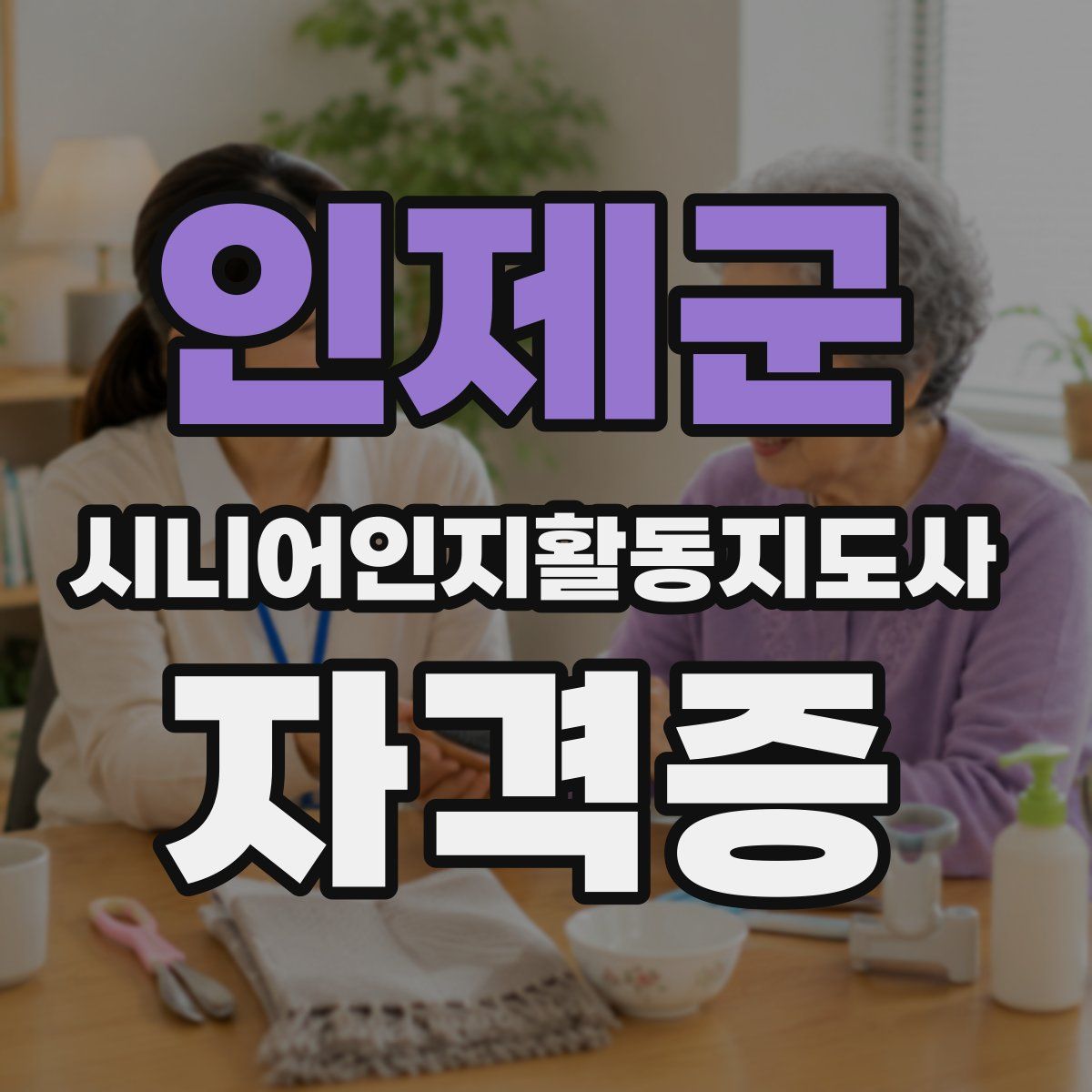 인제군 시니어인지활동지도사 자격증