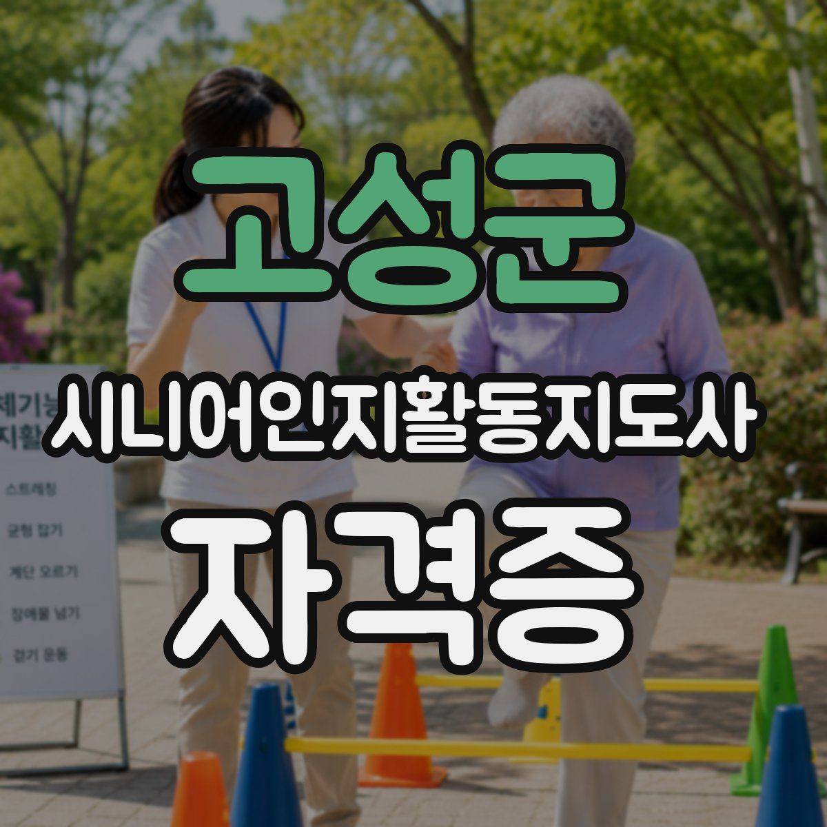 고성군 시니어인지활동지도사 자격증