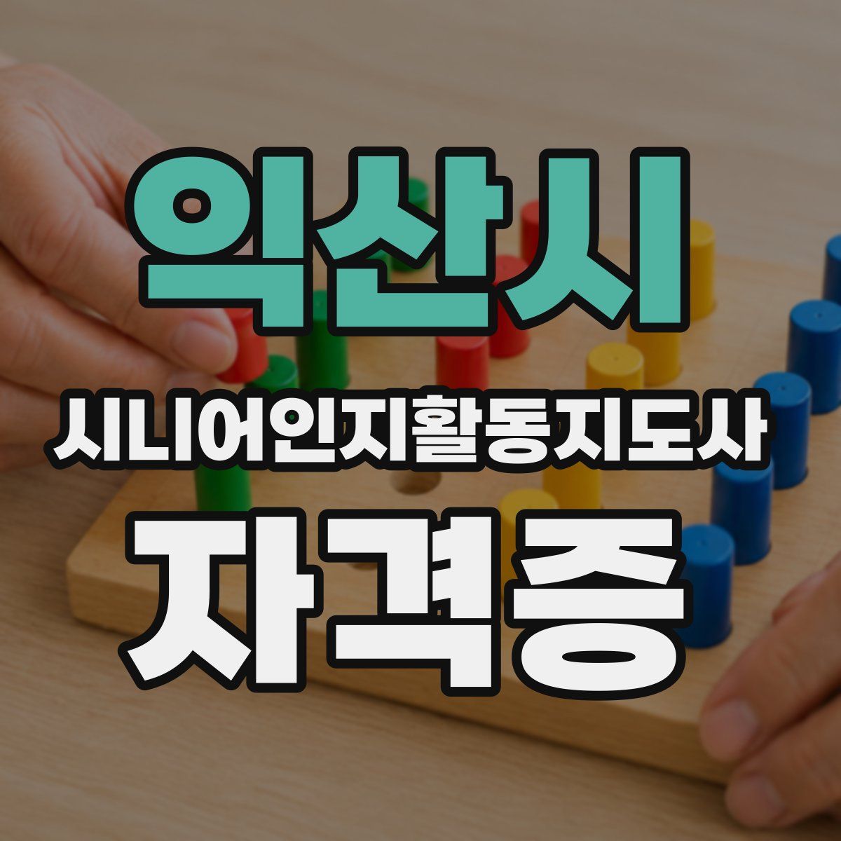 익산시 시니어인지활동지도사 자격증