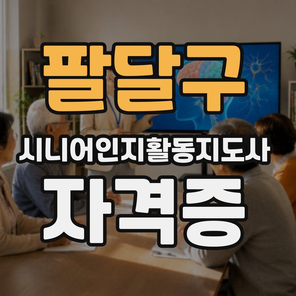 팔달구 시니어인지활동지도사 자격증