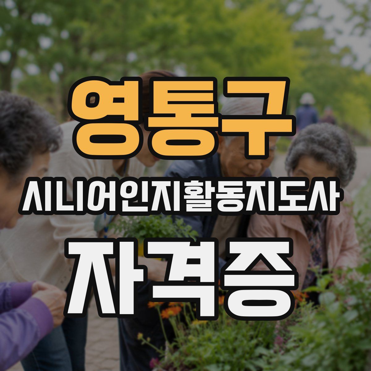 영통구 시니어인지활동지도사 자격증
