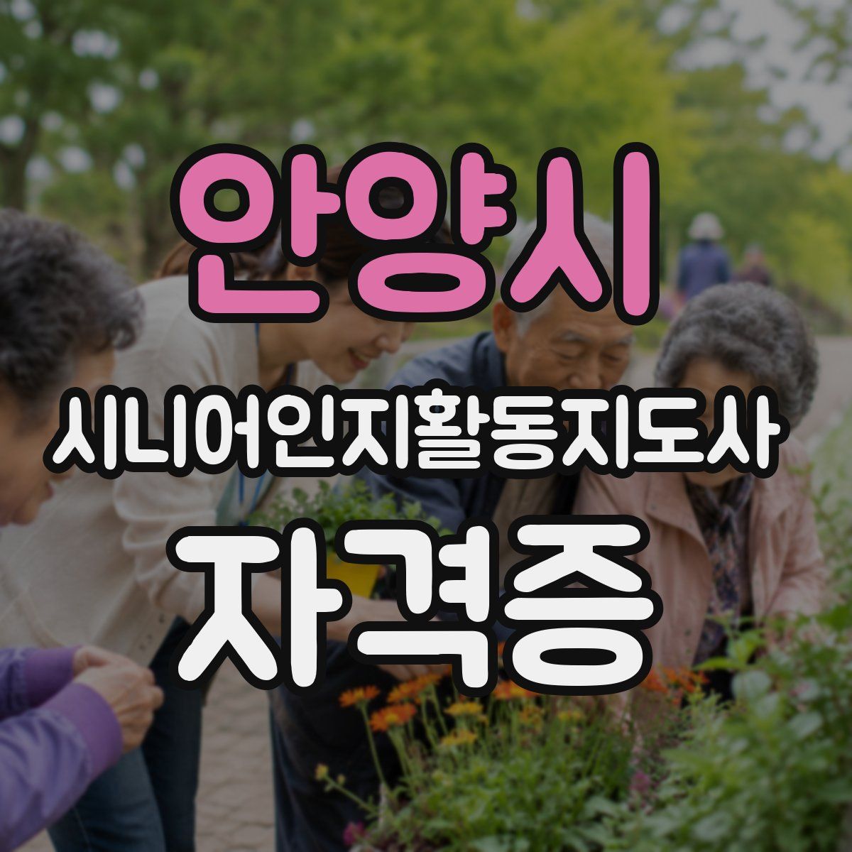 안양시 시니어인지활동지도사 자격증