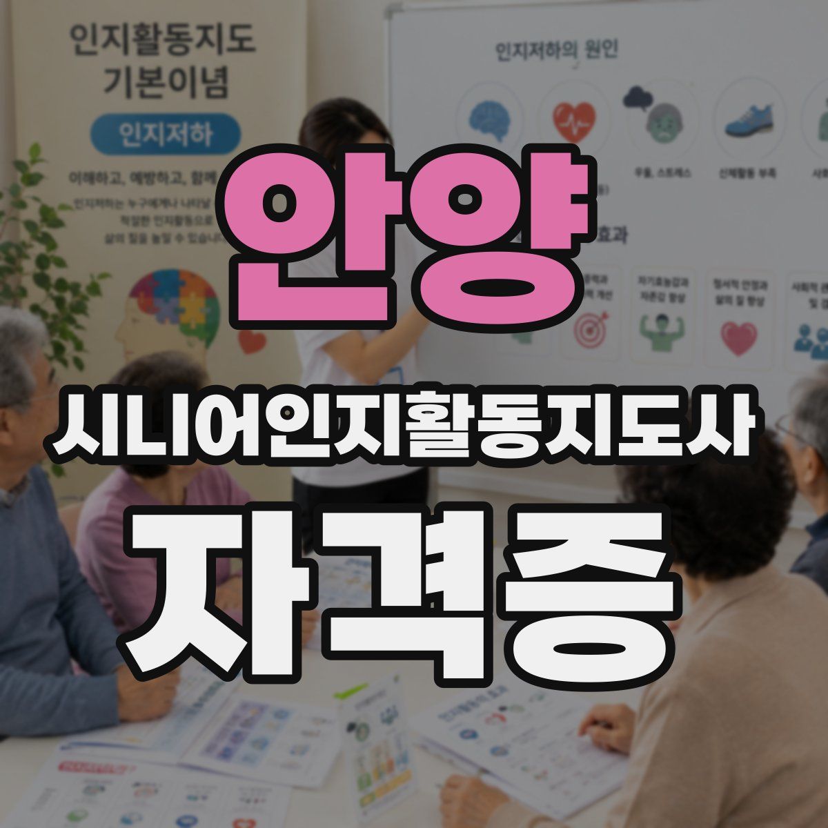 안양 시니어인지활동지도사 자격증