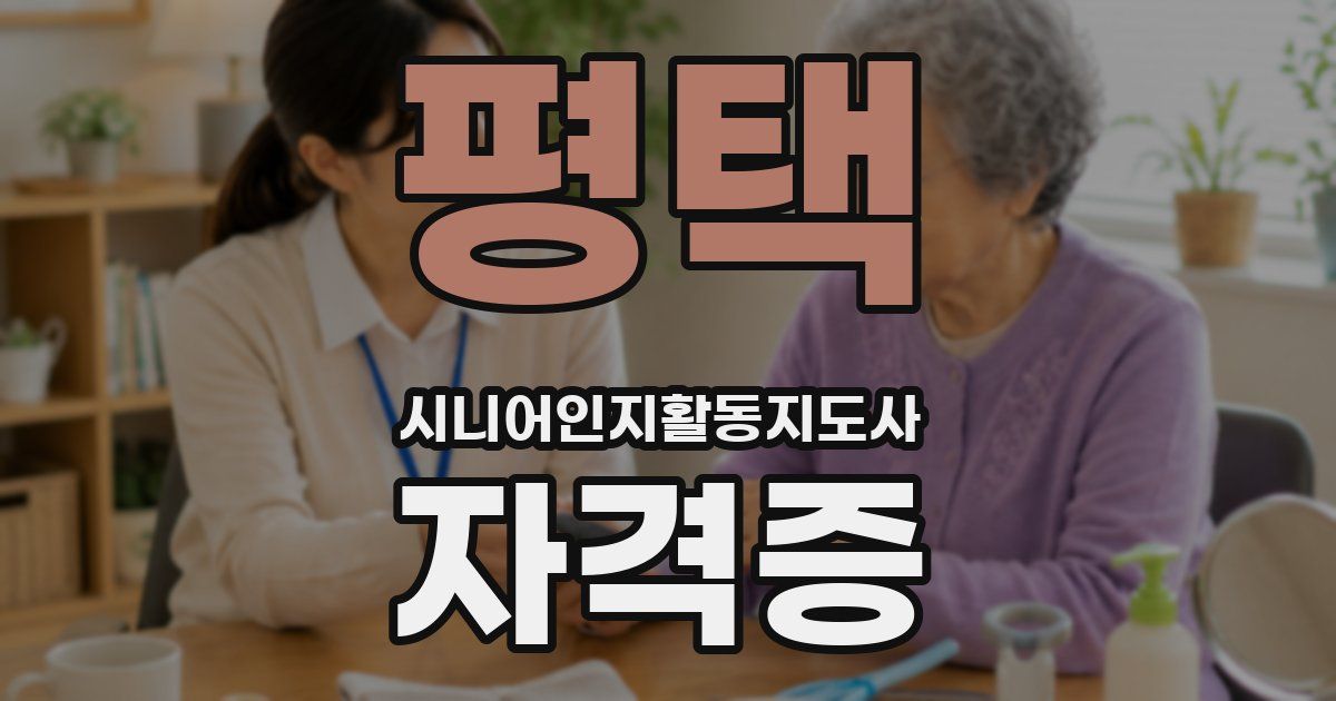 평택 시니어인지활동지도사 자격증