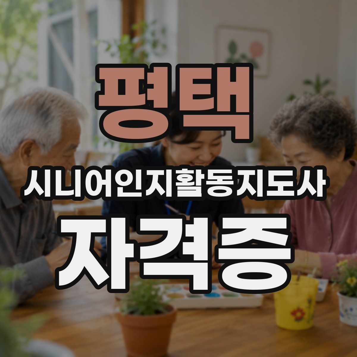 평택 시니어인지활동지도사 자격증