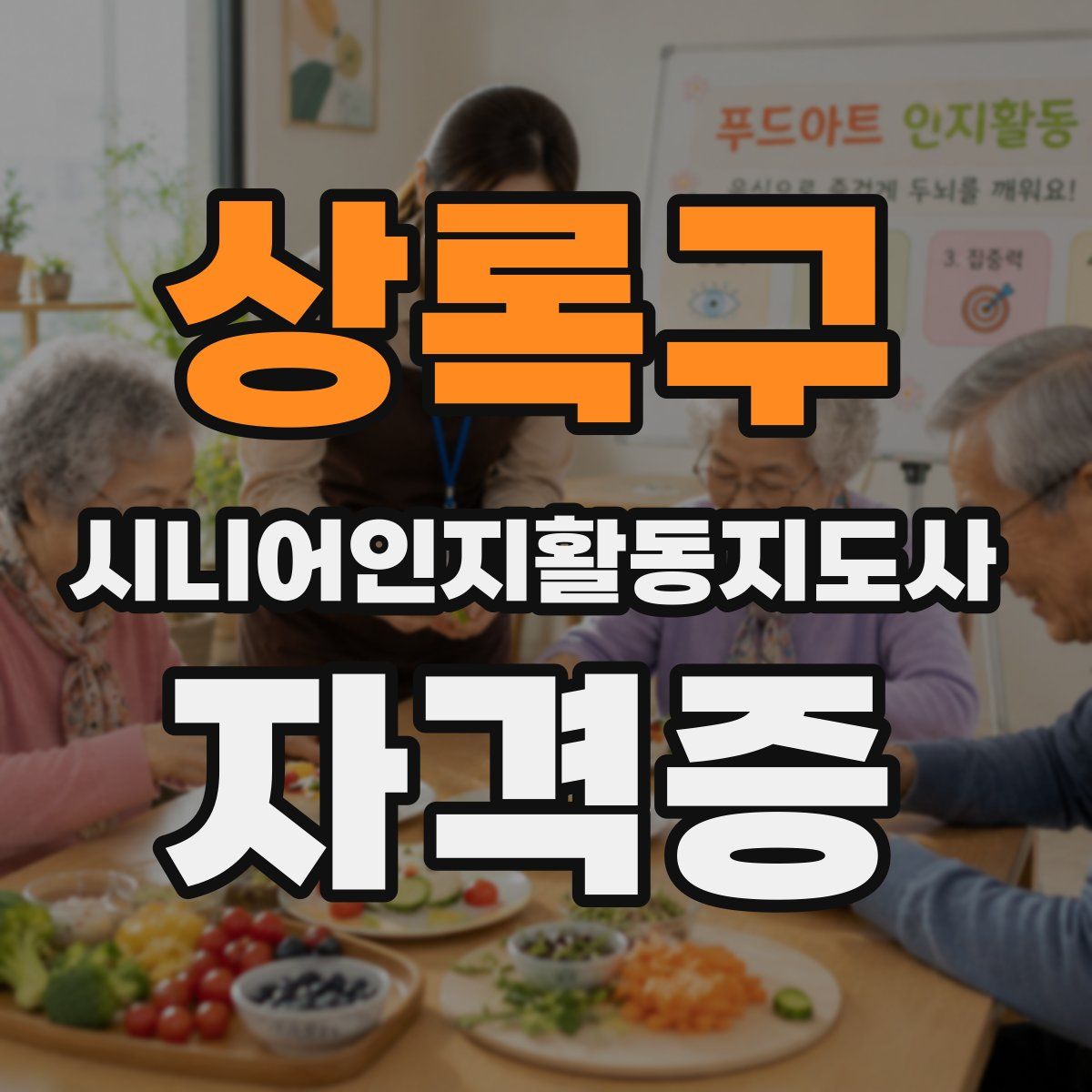 상록구 시니어인지활동지도사 자격증