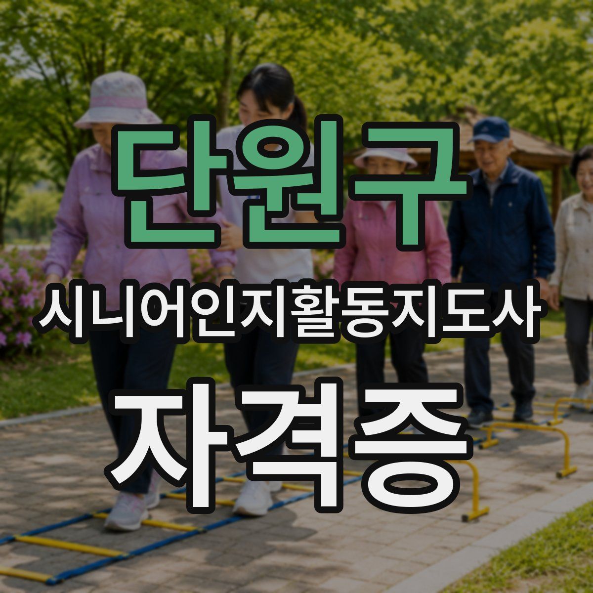 단원구 시니어인지활동지도사 자격증