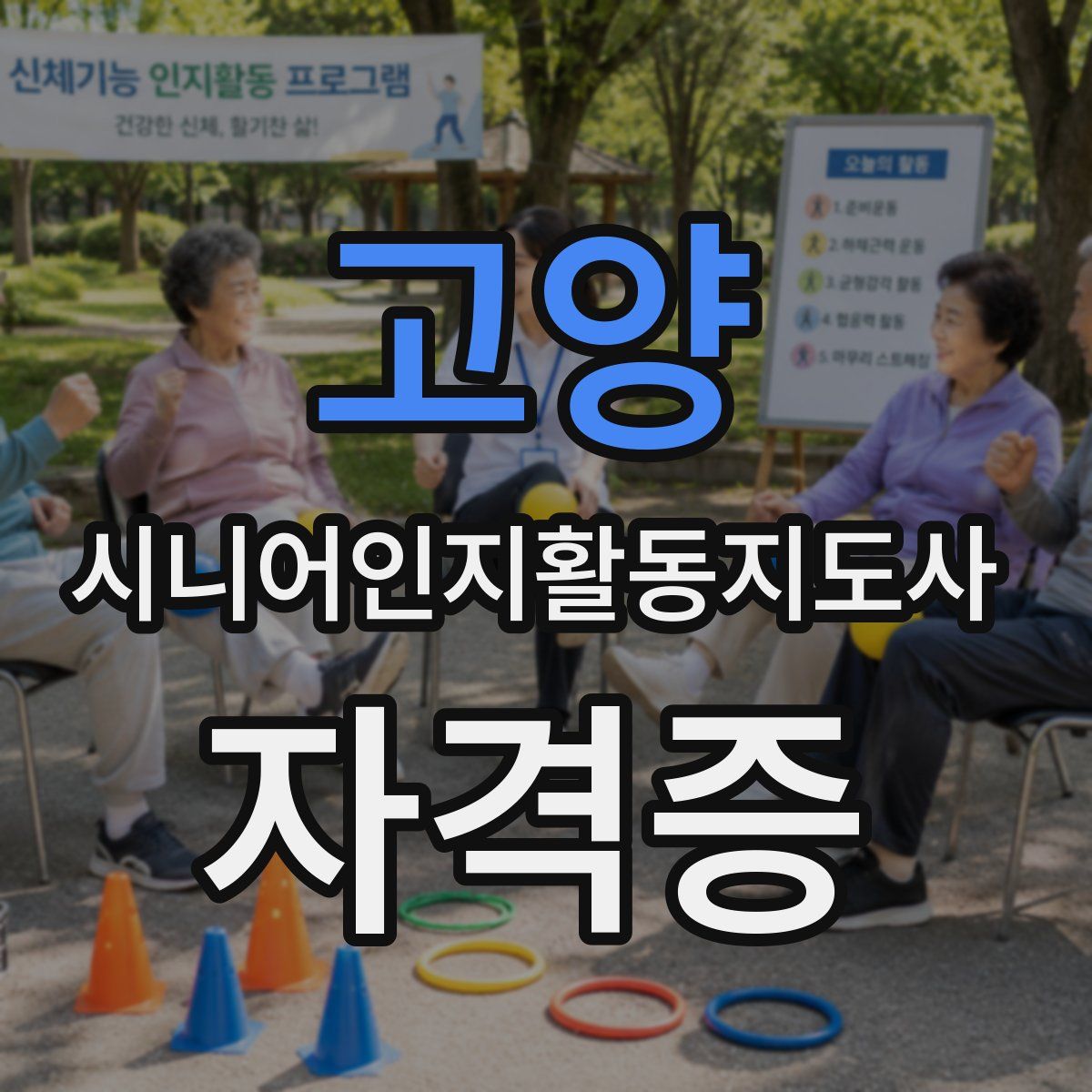 고양 시니어인지활동지도사 자격증