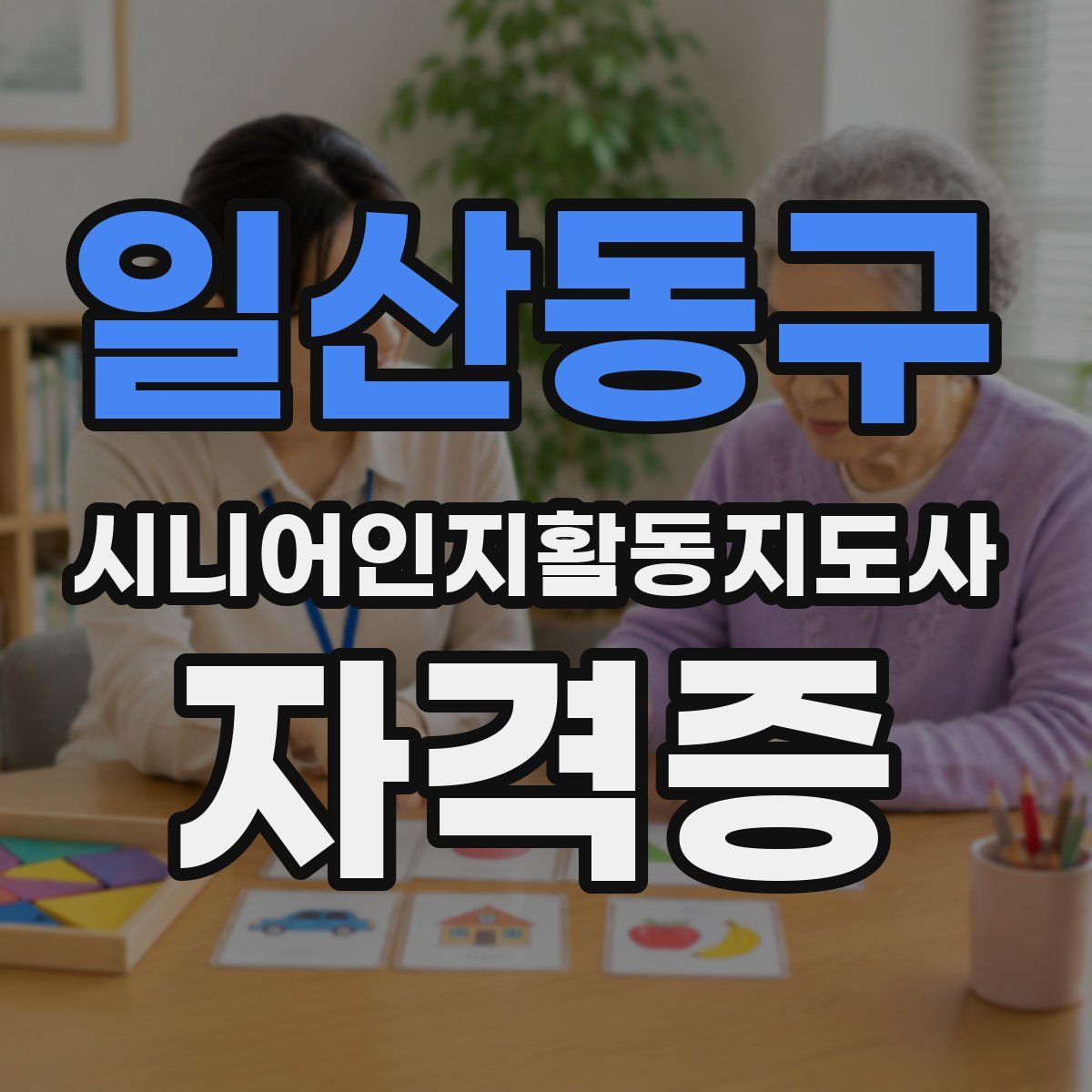 일산동구 시니어인지활동지도사 자격증