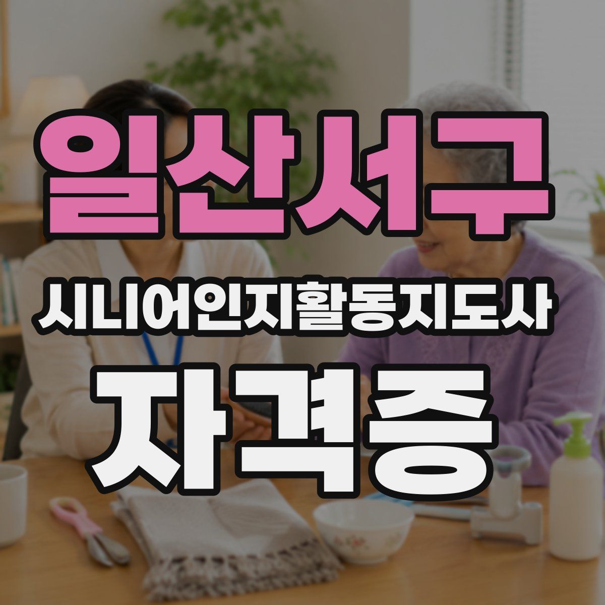 일산서구 시니어인지활동지도사 자격증