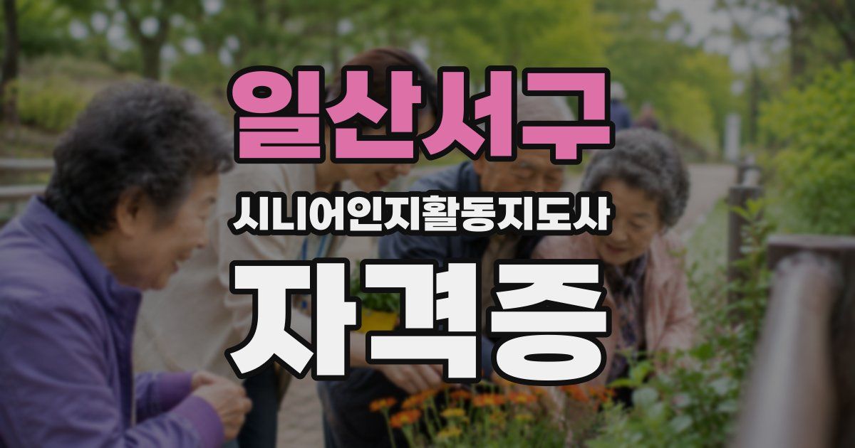일산서구 시니어인지활동지도사 자격증