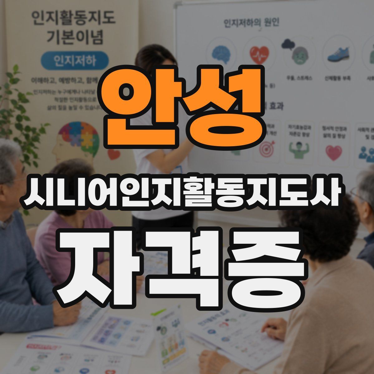 안성 시니어인지활동지도사 자격증