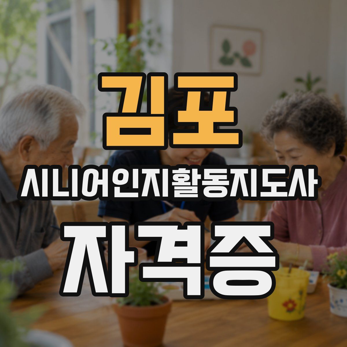 김포 시니어인지활동지도사 자격증