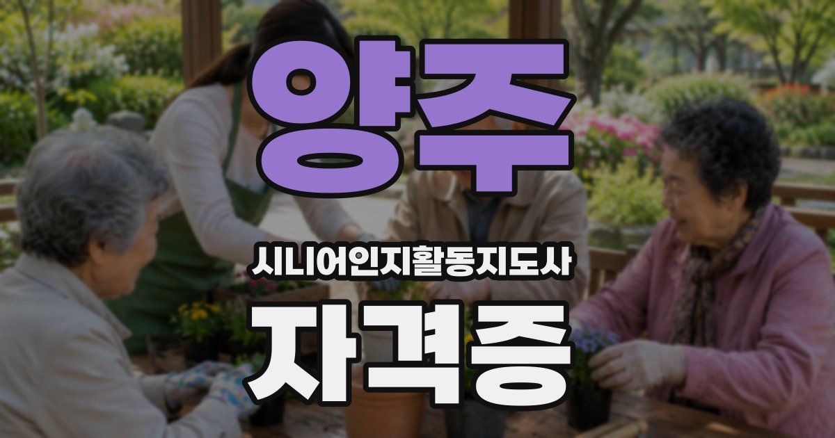 양주 시니어인지활동지도사 자격증