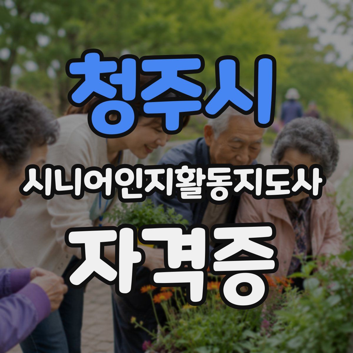 청주시 시니어인지활동지도사 자격증