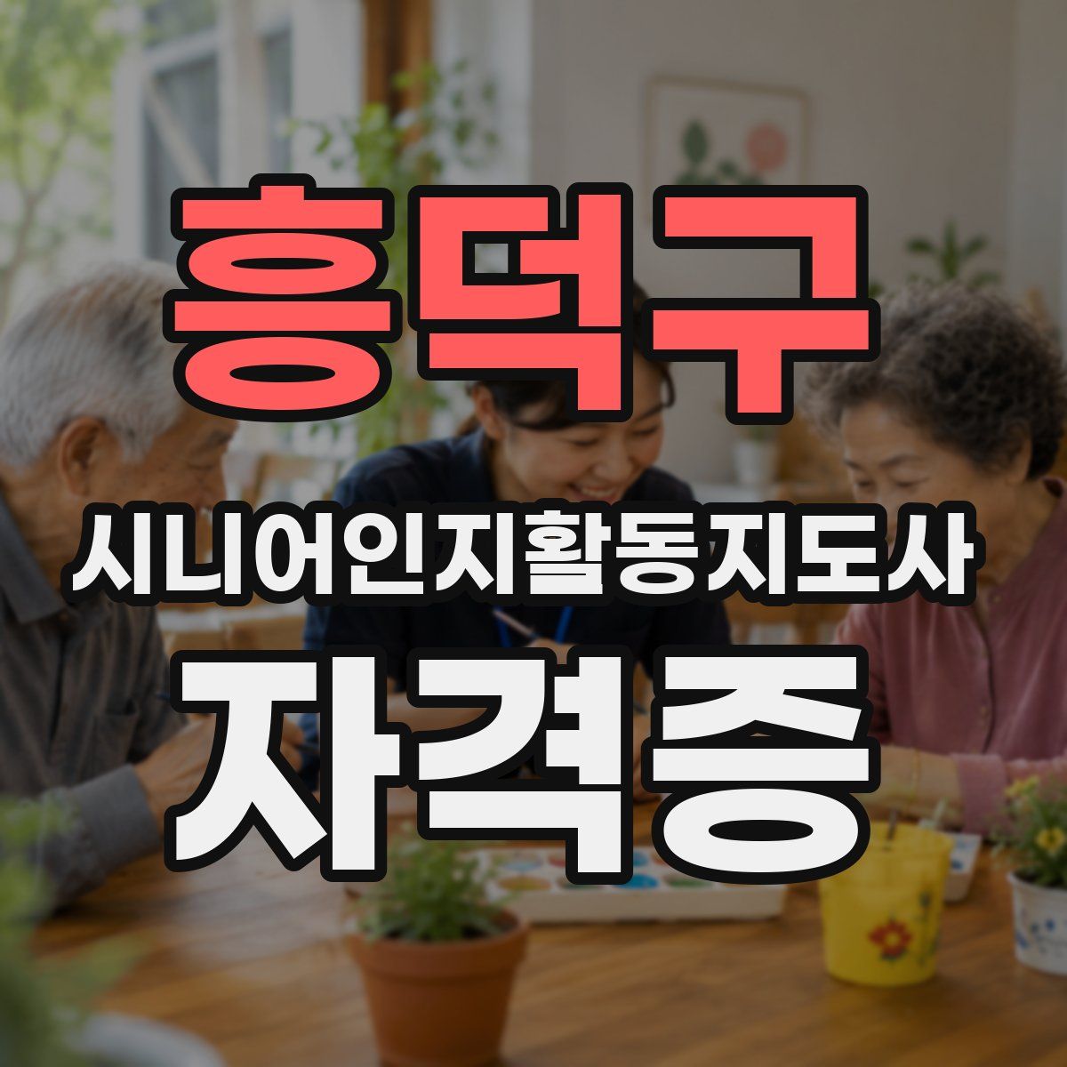 흥덕구 시니어인지활동지도사 자격증