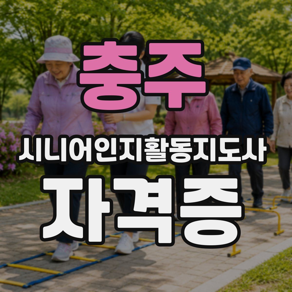 충주 시니어인지활동지도사 자격증
