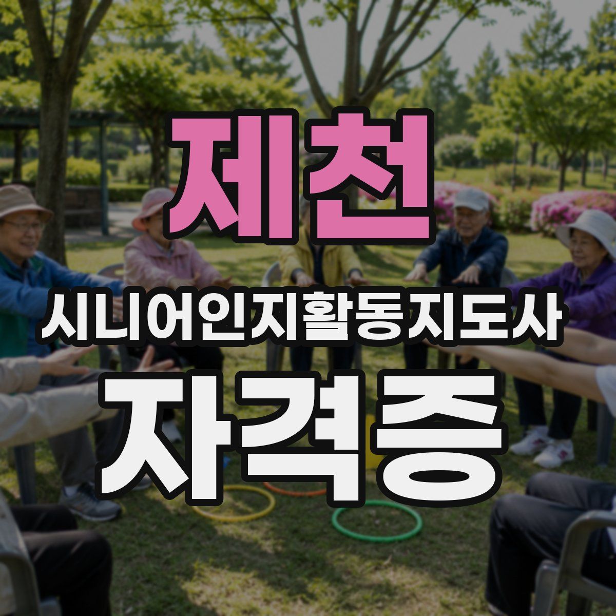 제천 시니어인지활동지도사 자격증