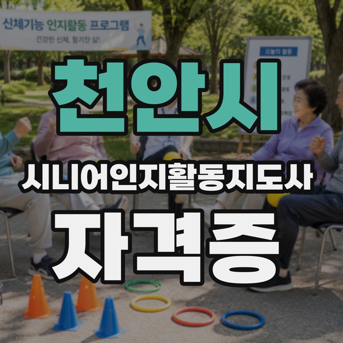 천안시 시니어인지활동지도사 자격증