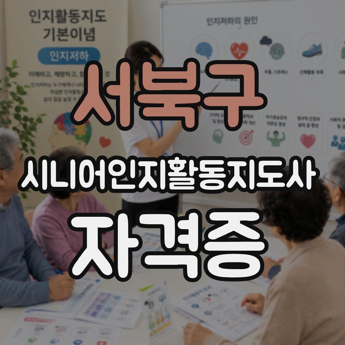 서북구 시니어인지활동지도사 자격증