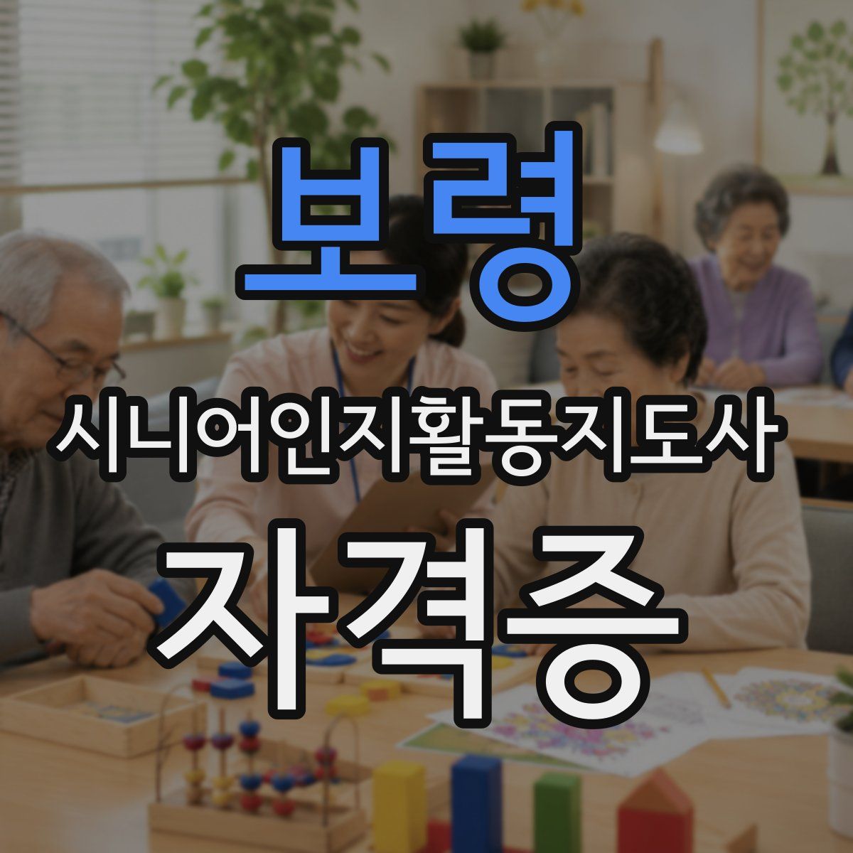 보령 시니어인지활동지도사 자격증